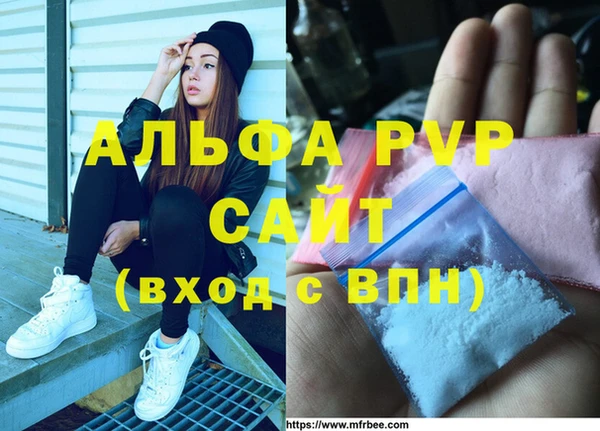 гидра Алексеевка