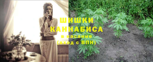 spice Алзамай