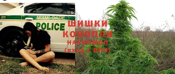 гидра Алексеевка