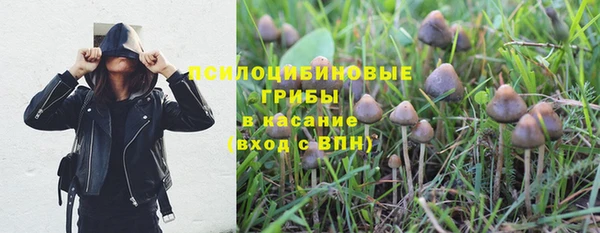 spice Алзамай