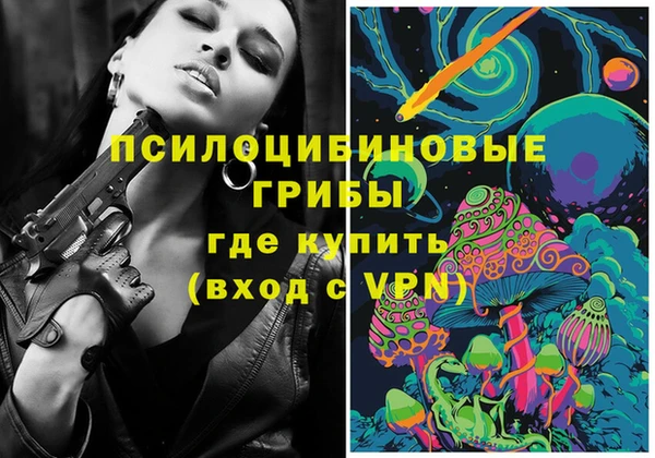 гидра Алексеевка