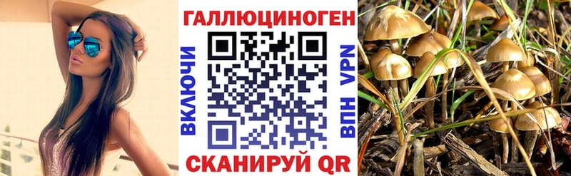 блэк спрут   закладки  Дудинка  Псилоцибиновые грибы прущие грибы 