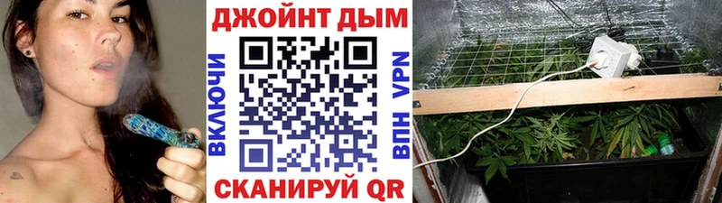Бошки марихуана White Widow закладка Дудинка